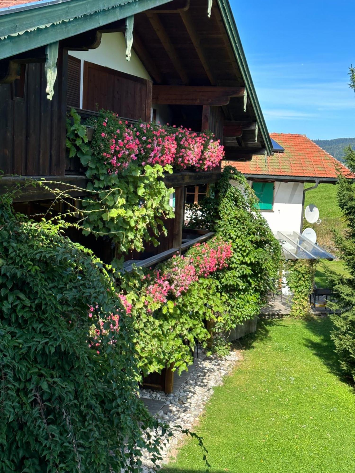 Landhotel Maiergschwendt Inkl Chiemgaukarte โรพอลดิง ภายนอก รูปภาพ